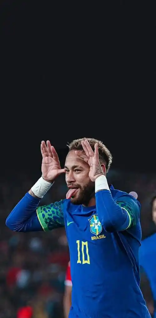 纳在场上的 纳在场上的